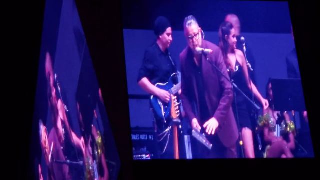 Solos de trompeta Toño Moreno Jorge Tlaxcaltecatl con Luis Enrique смотреть онлайн