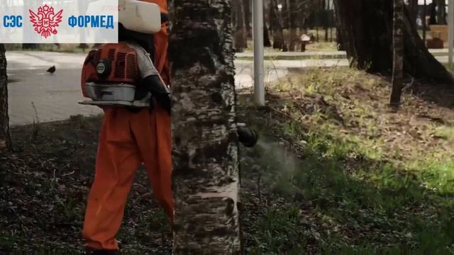 Акарицидная (противоклещевая) обработка территории парка смотреть онлайн