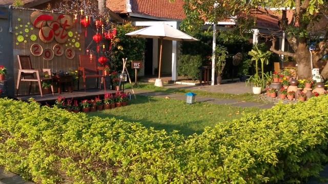 Бассейн на берегу моря во Вьетнаме | Пробуем лягушек и местный суп