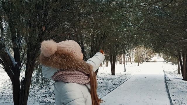 Симферополь, Парк КФУ. Зарянка ест с руки смотреть онлайн