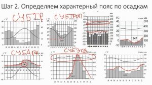 Как решать задания с климатограммами | Как понимать климатограммы