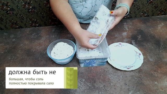 Шоу и Концерты