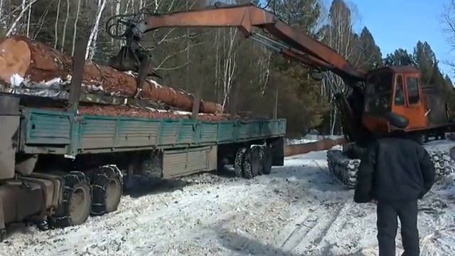 Погрузка длинномерных бревен лиственницы смотреть онлайн