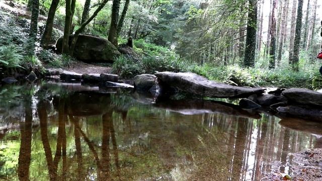 Breizh Air Production , La forêt d'Huelgoat , La Bretagne vue du ciel смотреть онлайн