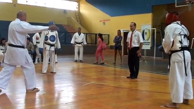 karate protector смотреть онлайн