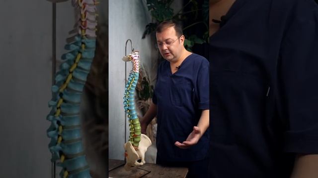 КИФОЗ И ЛОРДОЗ