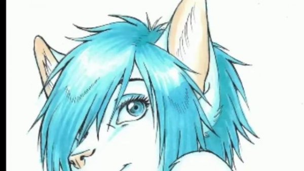 Song "Мы фури,  пушистые дети природы"