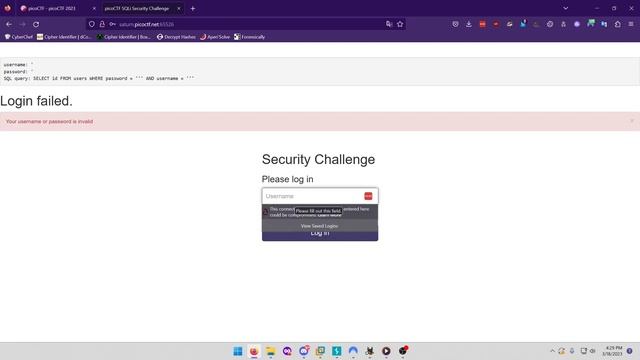 picoGym (picoCTF) Exercise: More SQLi смотреть онлайн