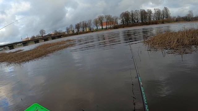 плотва осенняя болонская, мелкая, но много, отчет Но 149 смотреть онлайн