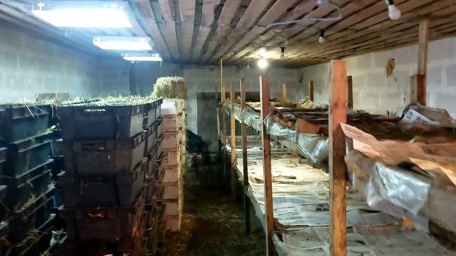 Разведение червей для рыбалки как дополнительный заработок. Кормление. смотреть онлайн