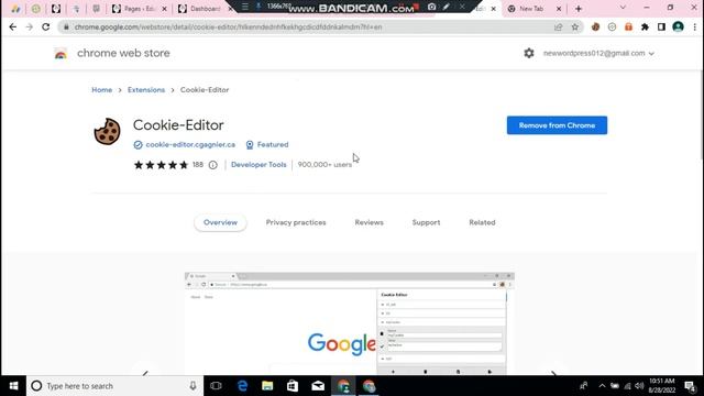 How To Use COOKIES On Your PC With Ease (Import And Export Cookies)
