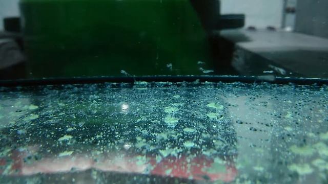 Малек Наннакары неоновой кормим сухим кормом и спирулинаой Nannacara Neon Blue смотреть онлайн