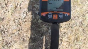 Копаем с металлоискателям TX 960