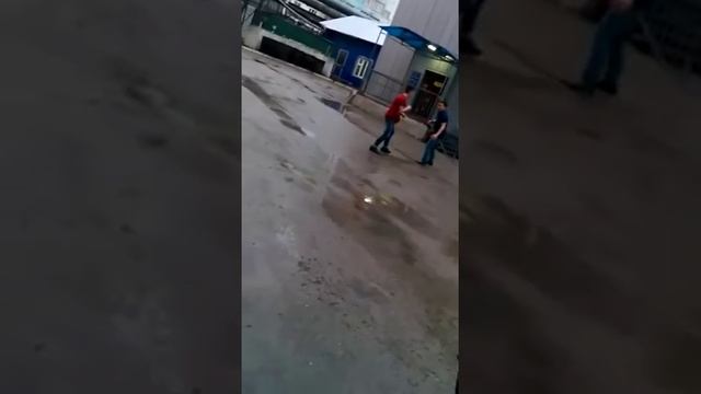 Драка бодливая коза якутск смотреть онлайн