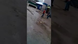 Драка бодливая коза якутск