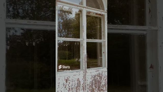 Отражение #отражение #shorts #history #shortvideo