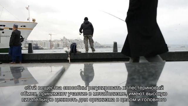 Названы улучшающие работу мозга продукты смотреть онлайн