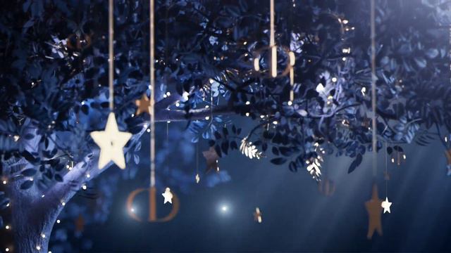 DIOR | DIOR CHRISTMAS 2021