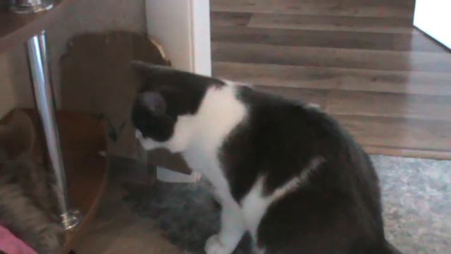 Хочется рвать и метать смотреть онлайн