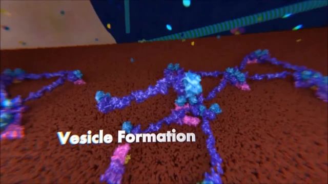 Везикулярный транспорт. Экзосомы и микровезикулы | Биология | НМИЦ им. В. А. Алмазова смотреть онлайн