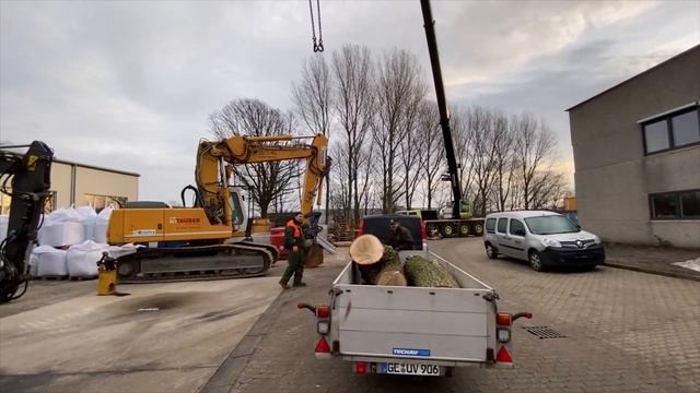 ТАК ПИЛЯТ XXL ДЕРЕВЬЯ В ГЕРМАНИИ смотреть онлайн