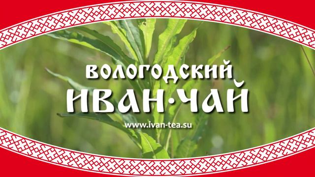 ИванЧай - Рекламный промо-ролик. смотреть онлайн