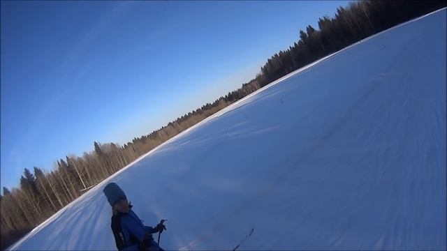 Работа над ошибками в технике конькового хода начинающих спортсменов смотреть онлайн