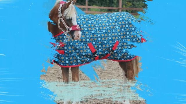 Horse One Shop - Попона дождевая MIMIMI на флисовой подкладке смотреть онлайн