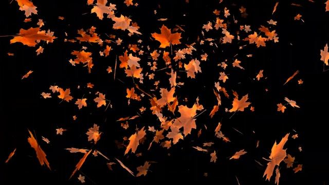 Футаж красные кленовые листья с прозрачным фоном 003 смотреть онлайн