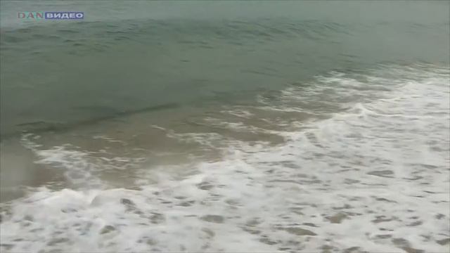 шум японского моря. ливадия, приморье смотреть онлайн
