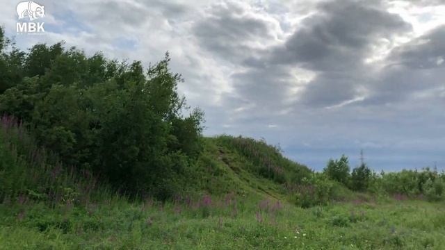 Природа Салехарда. Что можно заготовить на зиму? смотреть онлайн