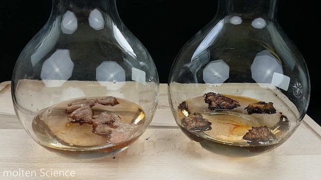 VEGAN Vs MEAT - STOMACH ACID EXPERIMENT!! смотреть онлайн