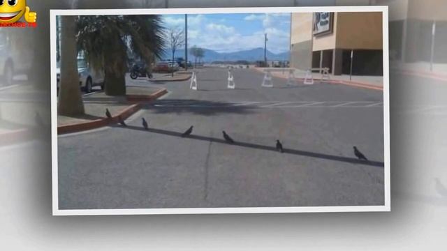 Топ 20 фото о том что такое настоящая жара смотреть онлайн