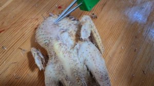 Электрические щипцы для удаления мелких перьев, пеньков и волосков птицы