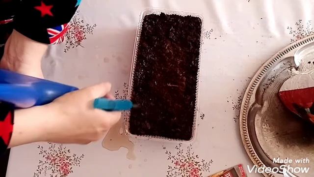 ПОСЕВ СЕМЯН ЦЕЛОЗИИ ПЕРИСТОЙ смотреть онлайн