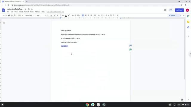How to install Jetbrains DataGrip 2021 on a Chromebook смотреть онлайн