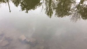 Капитальная дамба и слив. Часть 4. РЕЗУЛЬТАТ!!! Пруд на дачном участке своими руками. Строим дамбу.