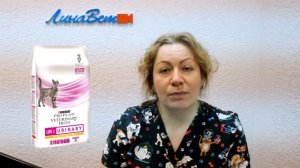 Чем кормить кота при мочекаменной болезни? Советы ветеринара.