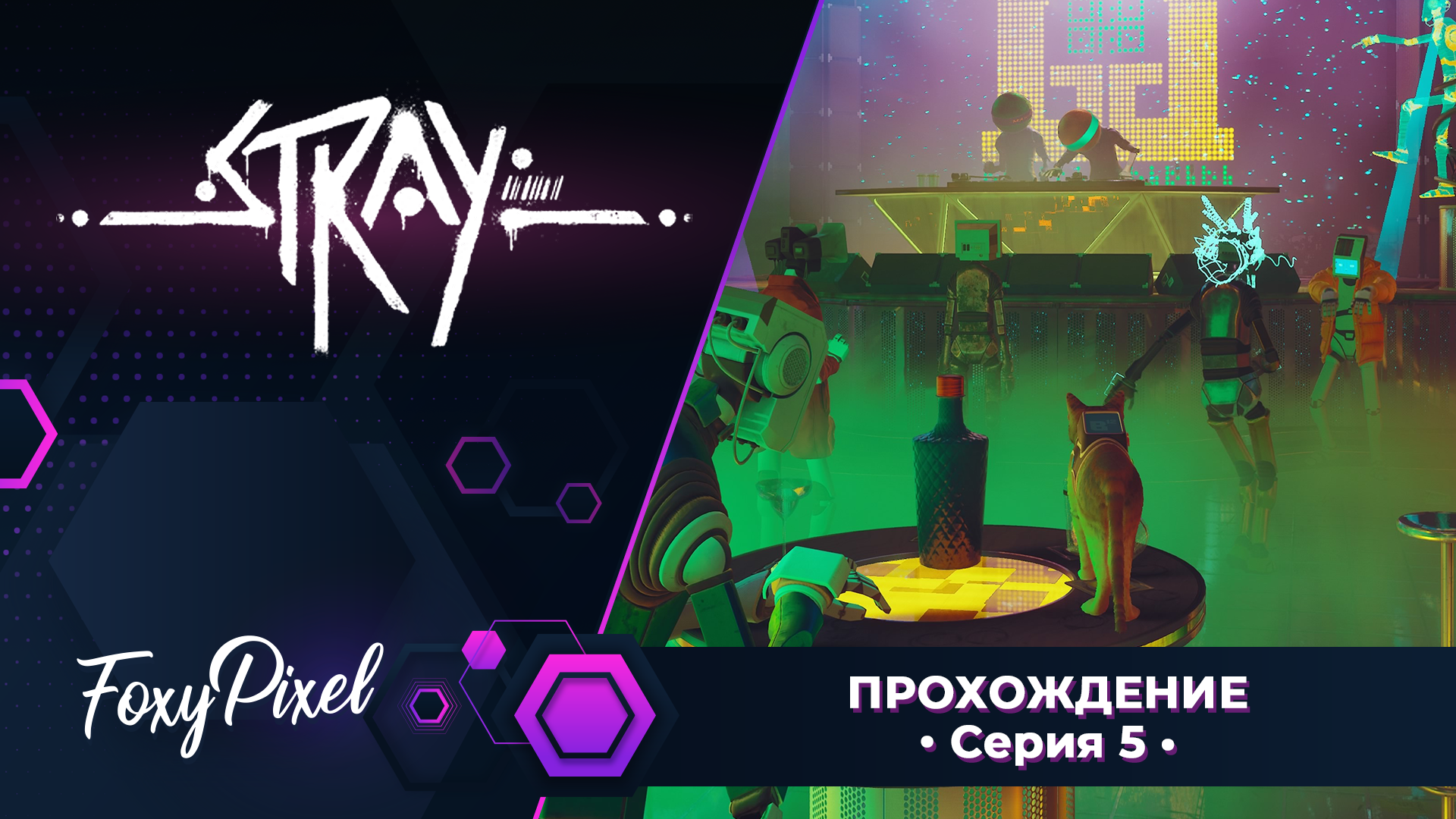 Stray #5 Поход в клуб обернулся тюрьмой
