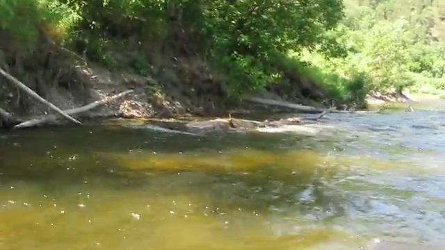 СПЛАВ ПО РЕКЕ БЕЛАЯ\АГИДЕЛЬ\10#6 8 ИЮЛЯ 2018#RAFTING ON THE WHITE\AGIDELI\ RIVER смотреть онлайн
