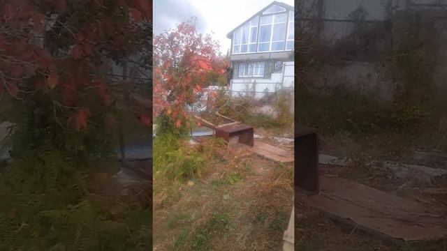 участок в Сочи от собственника!лучшее предложение!!!! смотреть онлайн