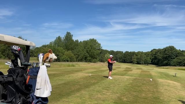 This WILL change my golf game FOREVER! смотреть онлайн