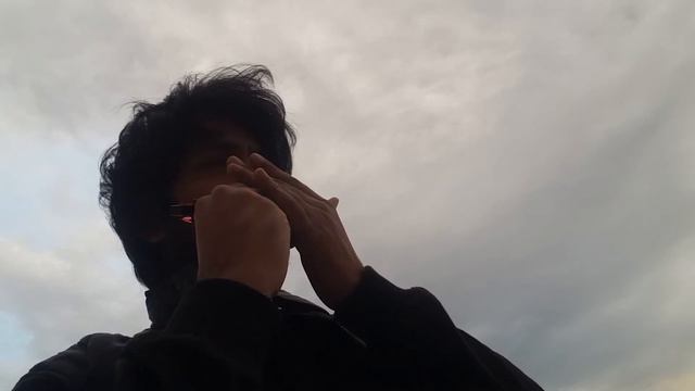 Bella Ciao | Harmonica | Best Cover | Covid Quarantine | Money Heist смотреть онлайн