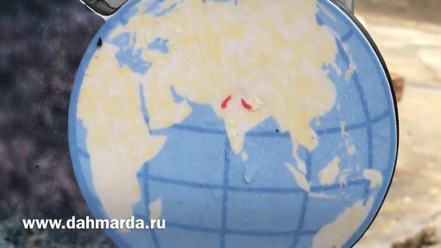 Таджикский мархур в зоопарке Лосанджелеса смотреть онлайн