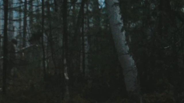 ТОК. Весь процесс весенней охоты на глухаря, посмотрел численность глухаря. смотреть онлайн