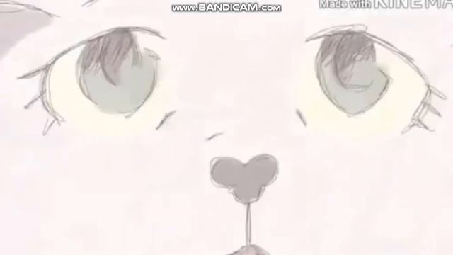 клип коты воители\ серебрянное море... ~КровоЛапа~ смотреть онлайн