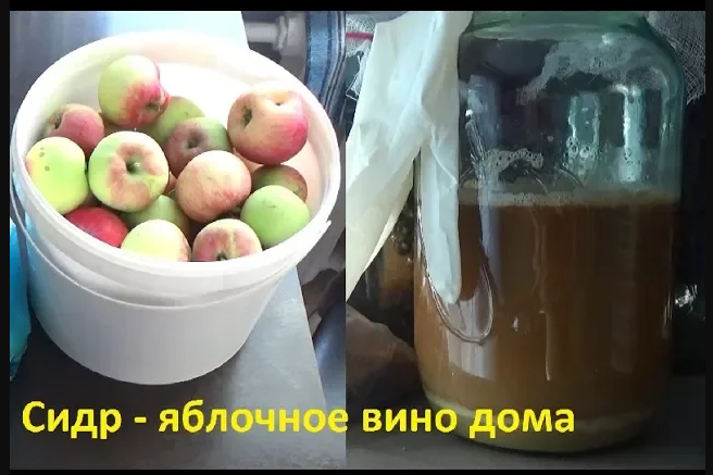 Сидр_ домашнее яблочное игристое вино из летних яблок смотреть онлайн