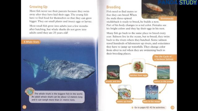 Oxford Read and discover - Level 5 - Animal - life cycles(American accent) смотреть онлайн