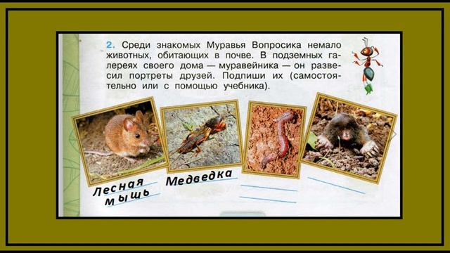 Что такое почва 2 задание. Окружающий мир 3 класс рабочая тетрадь. Обитатели почвы смотреть онлайн