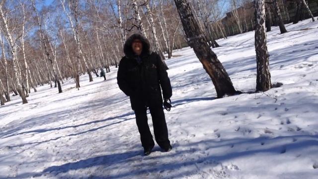 Щенок Добермана на прогулке. смотреть онлайн